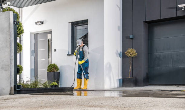 Best Roof Cleaning and Mildew Removal in Glenwood, IA